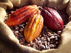 F�ve Chocolat